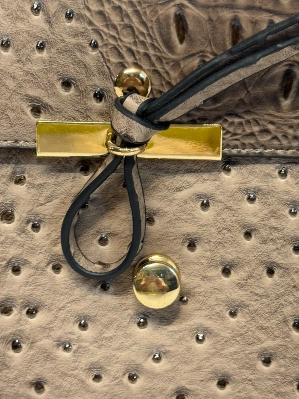Taupe Croc Ostrich Embossed Crossbody Bag Gold Hardware